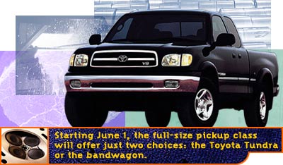 Tundra.jpg (27236 Byte)