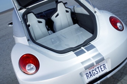 Beetle Ragster