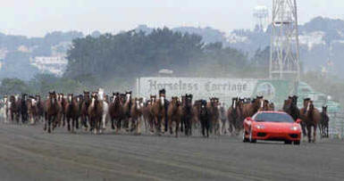 The Ferrari 360 Modena at the New York Giants Stadium